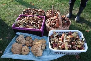 Agrotouristischer Bauernhof Zagroda u Sławek