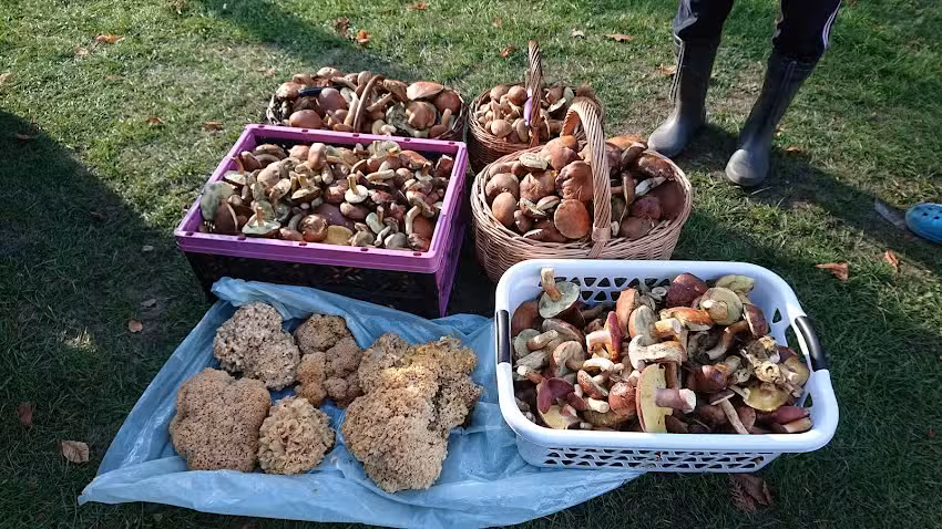 Agrotouristischer Bauernhof Zagroda u Sławek