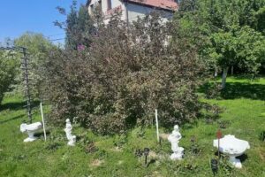 Zajazd Restauracja Toporzanka Komfortowe Pokoje