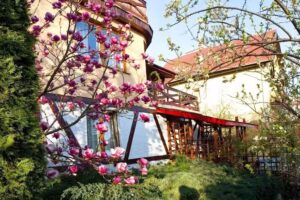 Ecke am Ełk-See Unterkunft Władysław Jagiełło 11