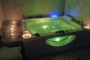 THE SCENT OF THE FOREST