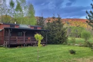 Unterkunft für Grünspechte