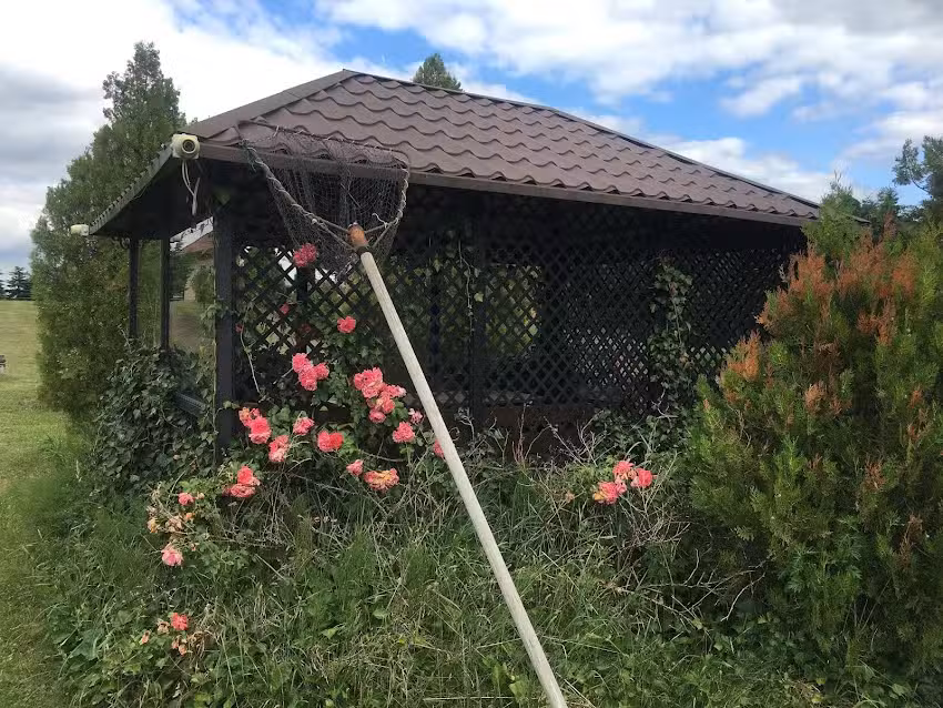 Unterkunft für Goldfische in Ślesin
