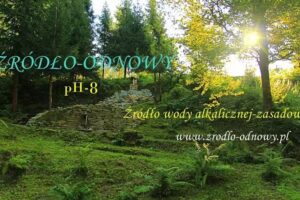 Źródełko wody pH -8